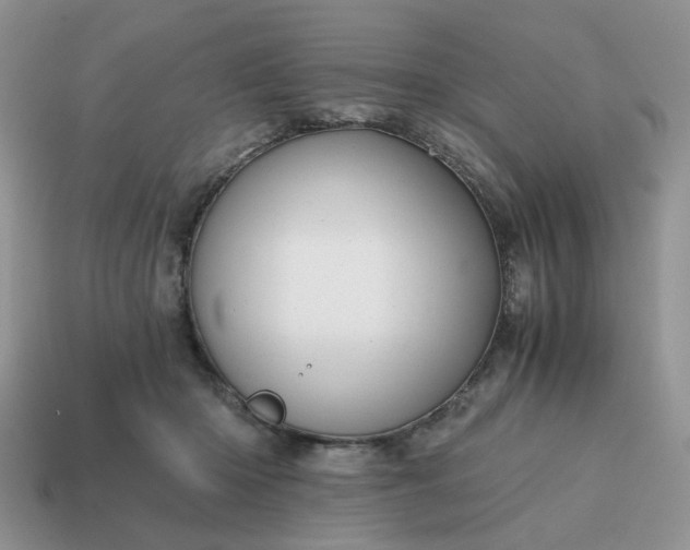 X0000114590414200911091300