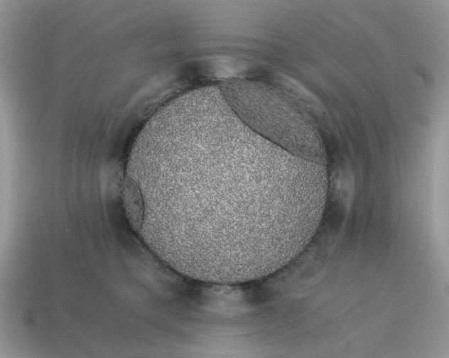 X0000114590421200911091300