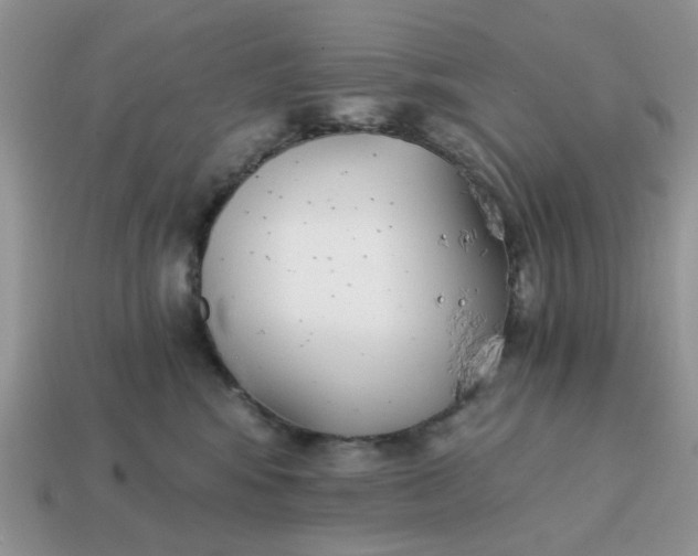 X0000114590424200911091300