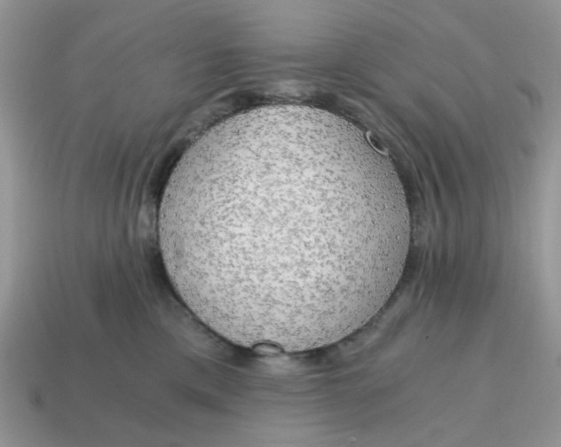 X0000114590425200911091300