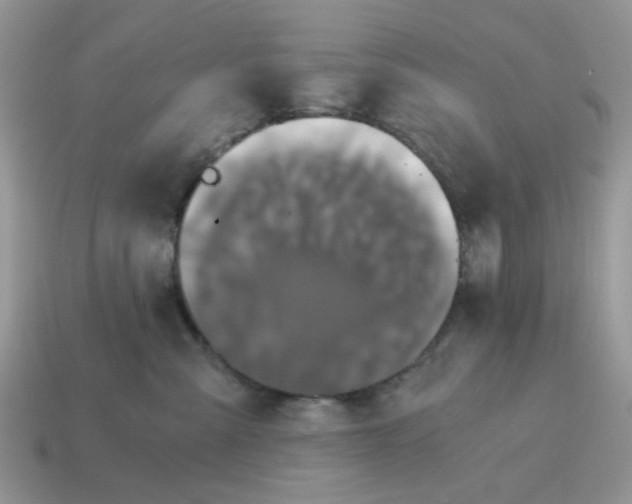 X0000114590427200911091300