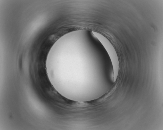 X0000114590429200911091300