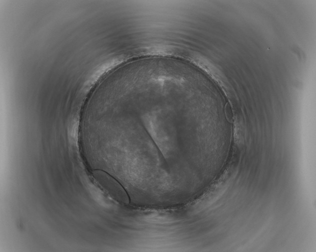 X0000114590434200911091300