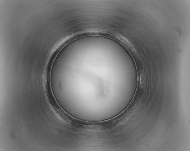 X0000114590436200911091300