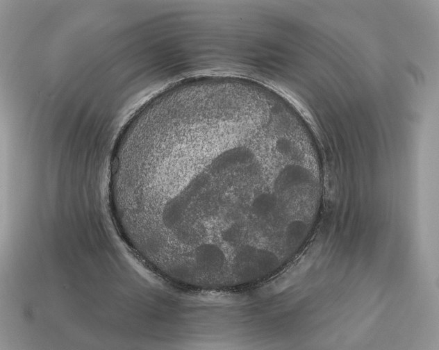 X0000114590437200911091300