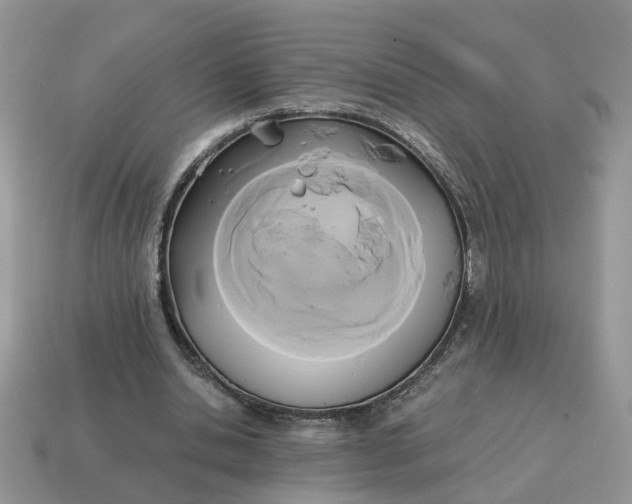 X0000114590438200911091300