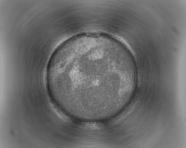 X0000114590439200911091300