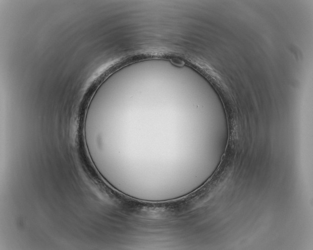 X0000114590440200911091300