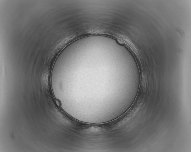 X0000114590441200911091300