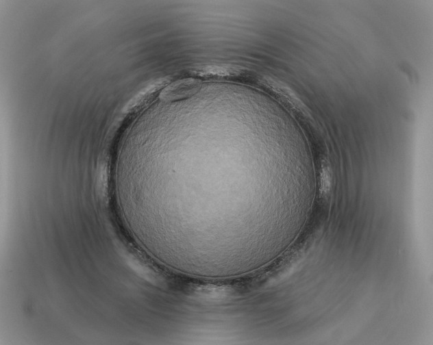 X0000114590444200911091300