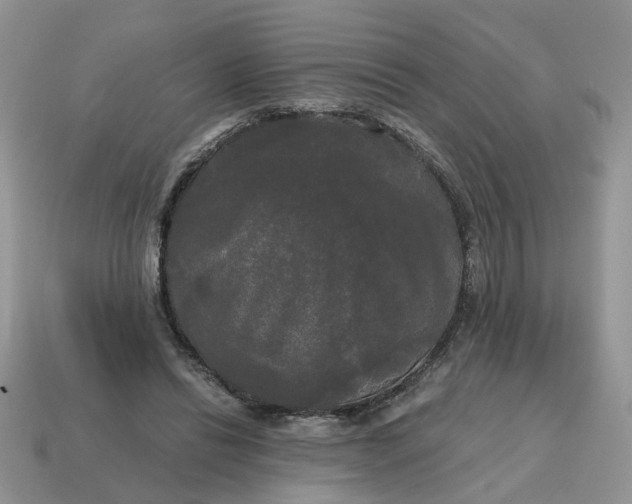 X0000114590446200911091300