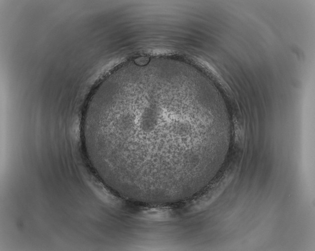 X0000114590447200911091300