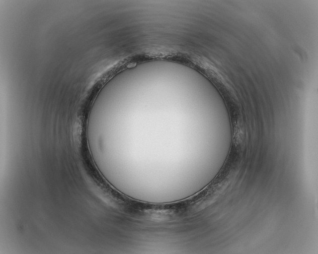 X0000114590448200911091300