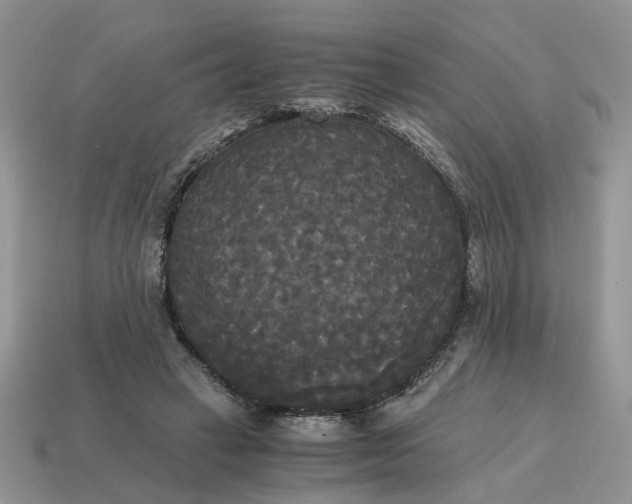 X0000114590449200911091300