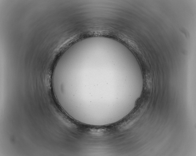 X0000114590450200911091300