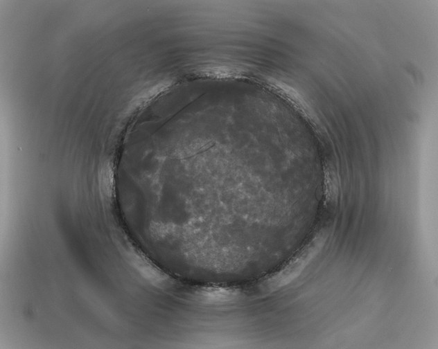 X0000114590453200911091300