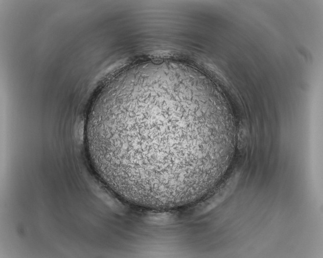 X0000114590454200911091300