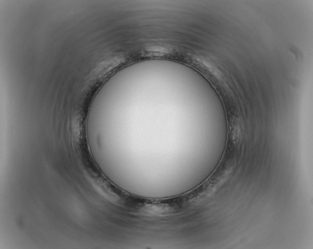 X0000114590455200911091300