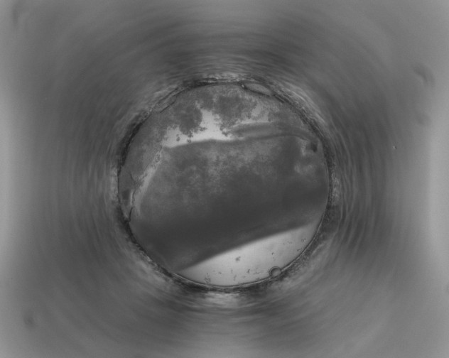 X0000114590457200911091300