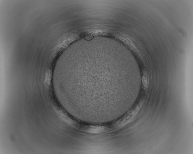 X0000114590458200911091300