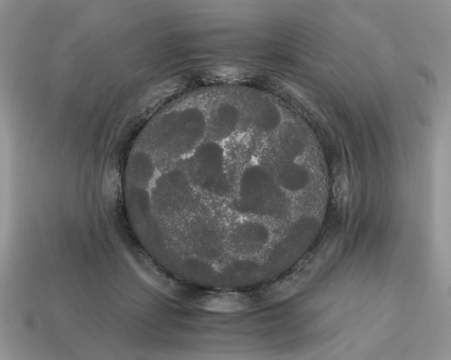 X0000114590459200911091300