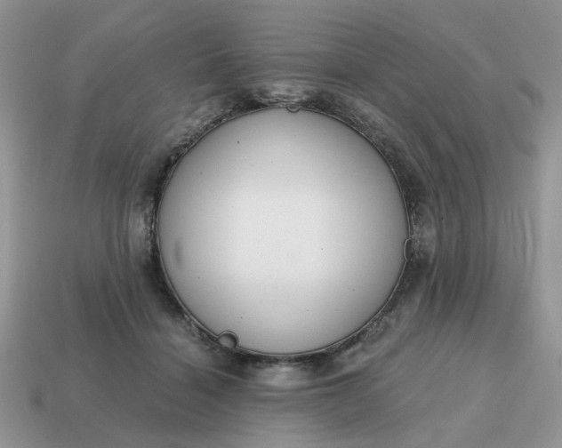 X0000114590460200911091300