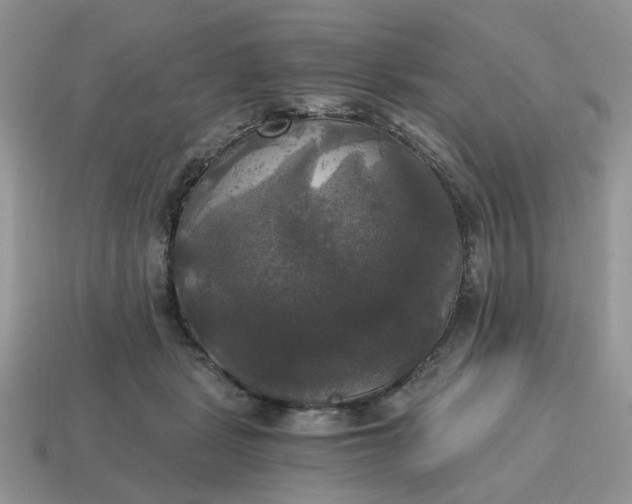 X0000114590461200911091300