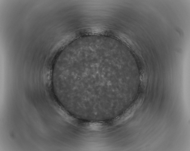 X0000114590462200911091300