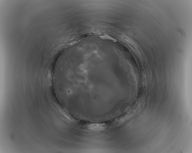 X0000114590465200911091300