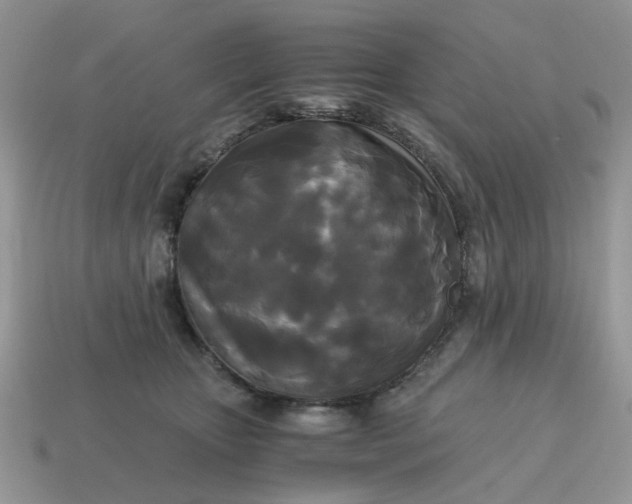 X0000114590467200911091300