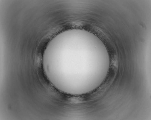 X0000114590468200911091300