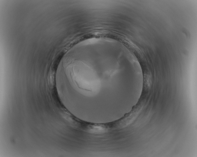 X0000114590475200911091300