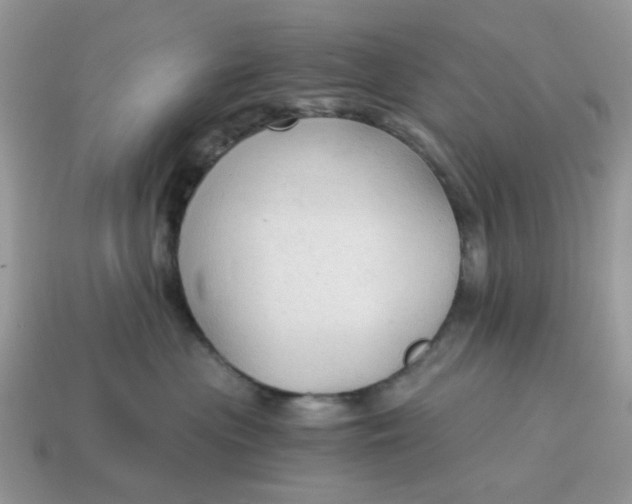 X0000114590477200911091300