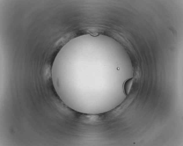 X0000114590478200911091300