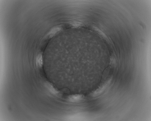 X0000114590479200911091300