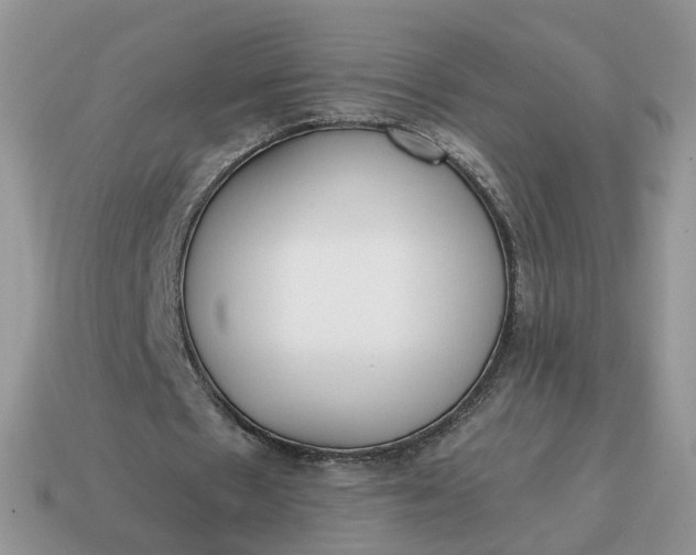 X0000114590481200911091300