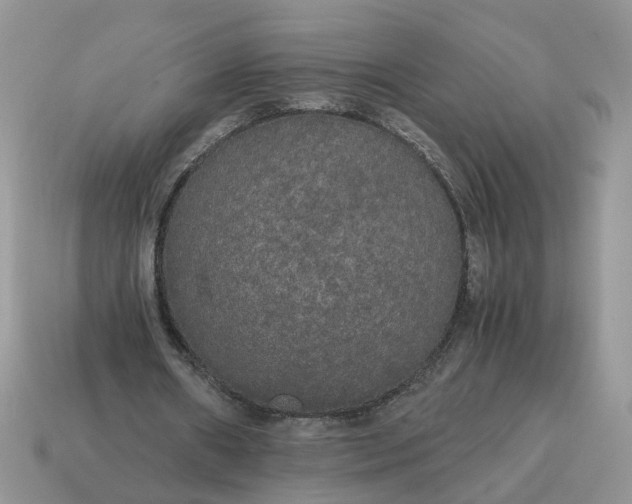 X0000114590482200911091300