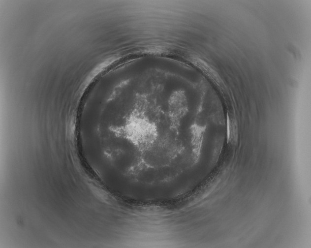 X0000114590483200911091300