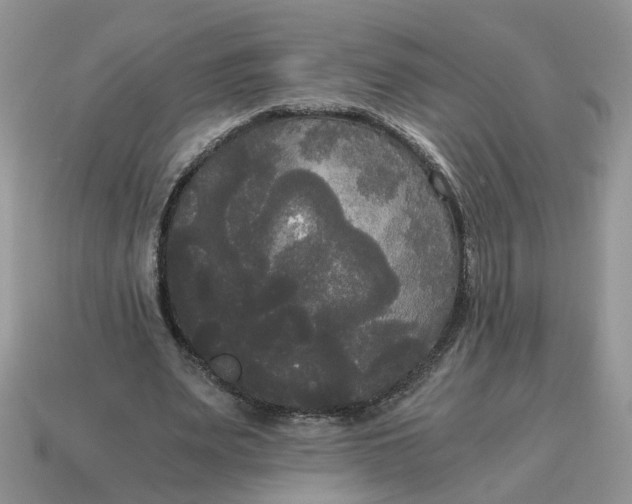 X0000114590487200911091300