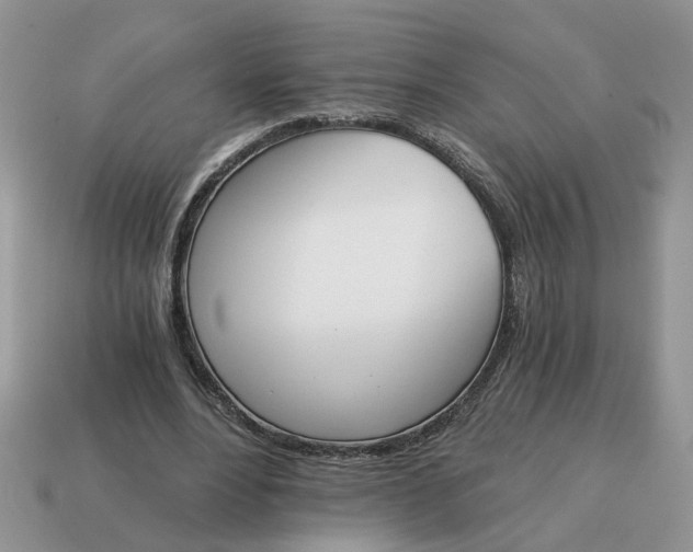 X0000114590488200911091300