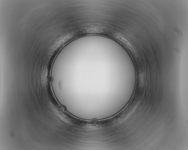 X0000114590490200911091300