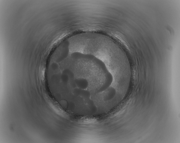 X0000114590491200911091259