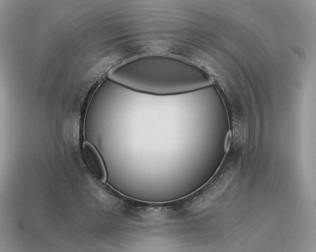 X0000114590493200911091259