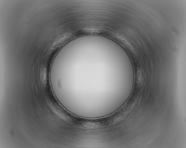 X0000114590494200911091259