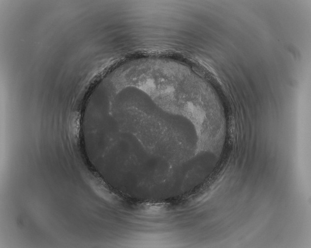 X0000114590495200911091259