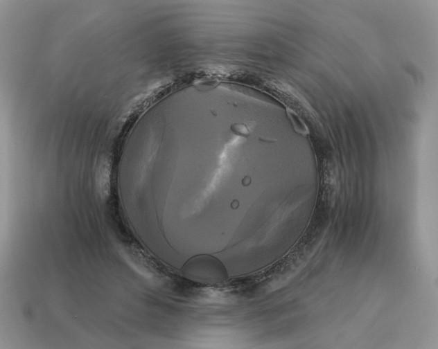 X0000114590496200911091259