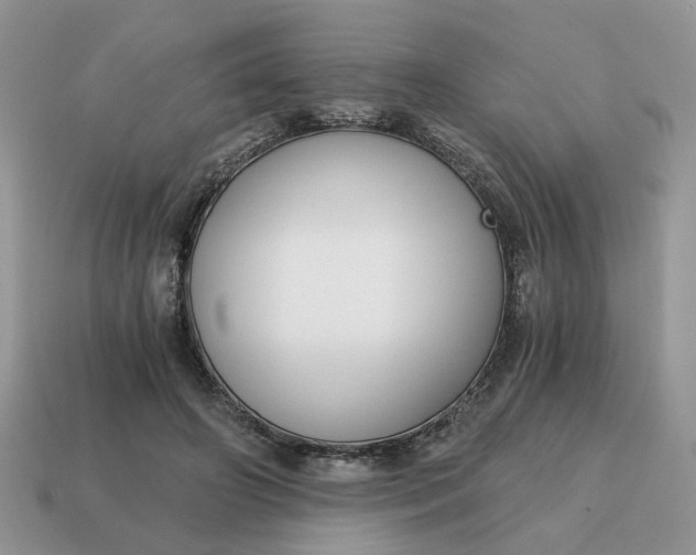 X0000114590498200911091259