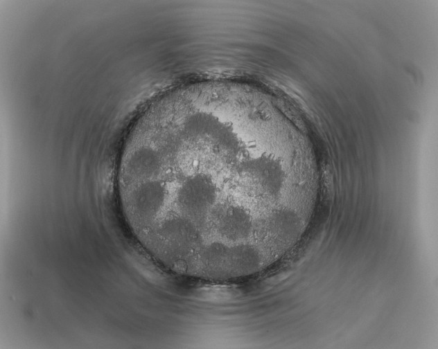 X0000114590499200911091259