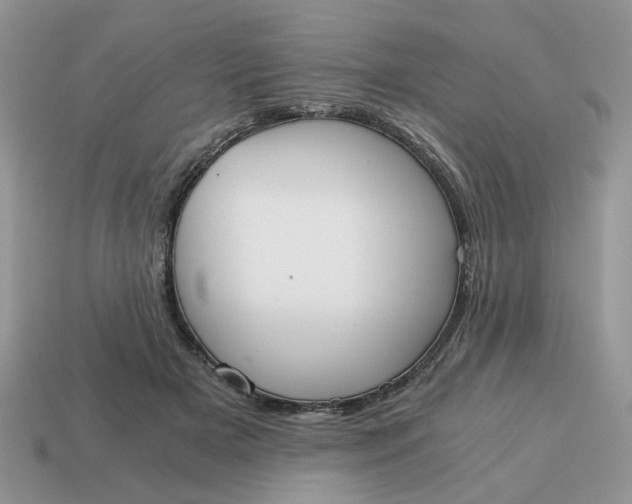 X0000114590505200911091259