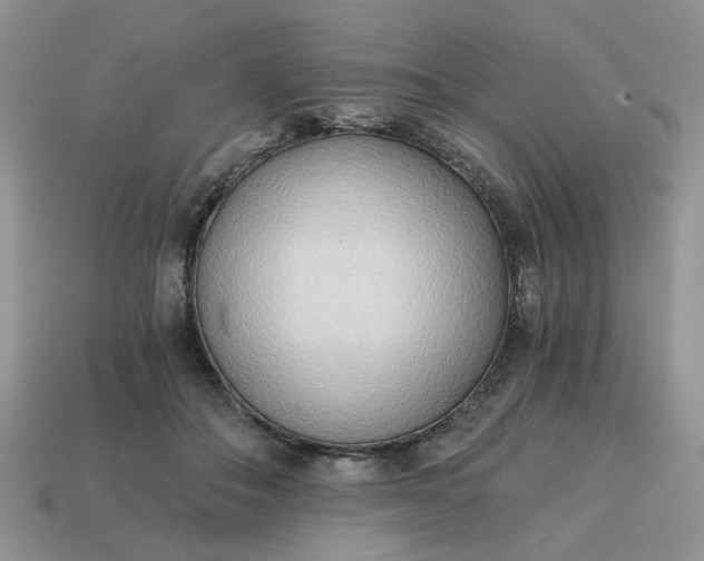 X0000114590506200911091259